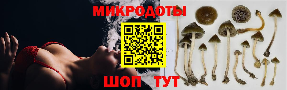 Галлюциногенные грибы MAGIC MUSHROOMS  Вход с VPN  Советский 